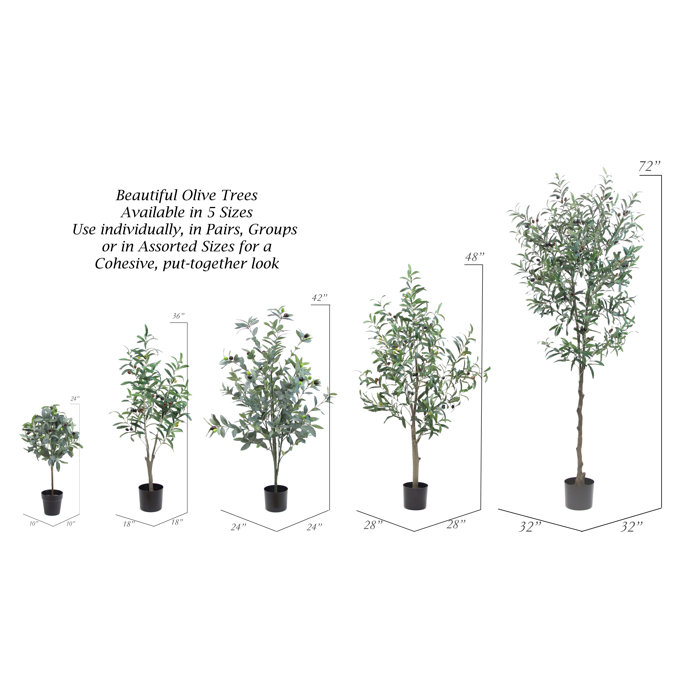 Primrue Faux Olive Tree in Pot Liner & Reviews Wayfair